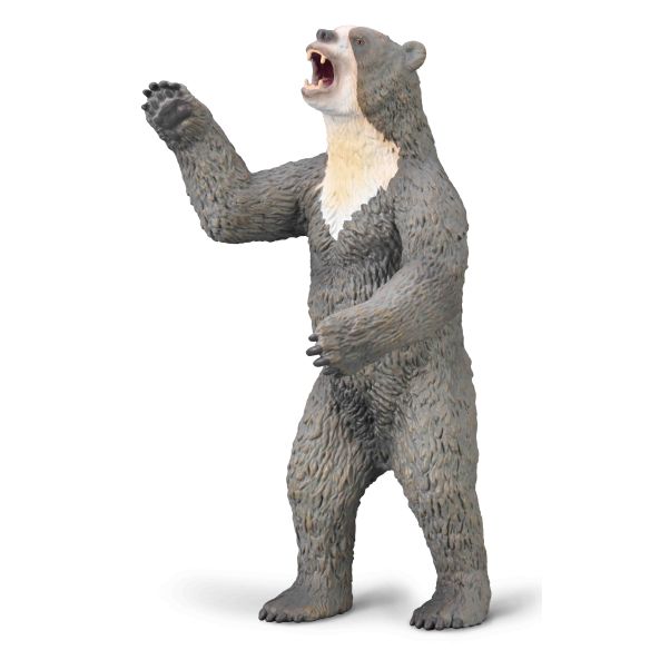 Figurine ours à face courte Arctodus CollectA 80026 1:20