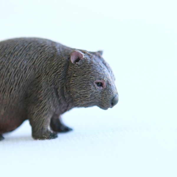 Figurine wombat avec bébé CollectA 88756 - Australie