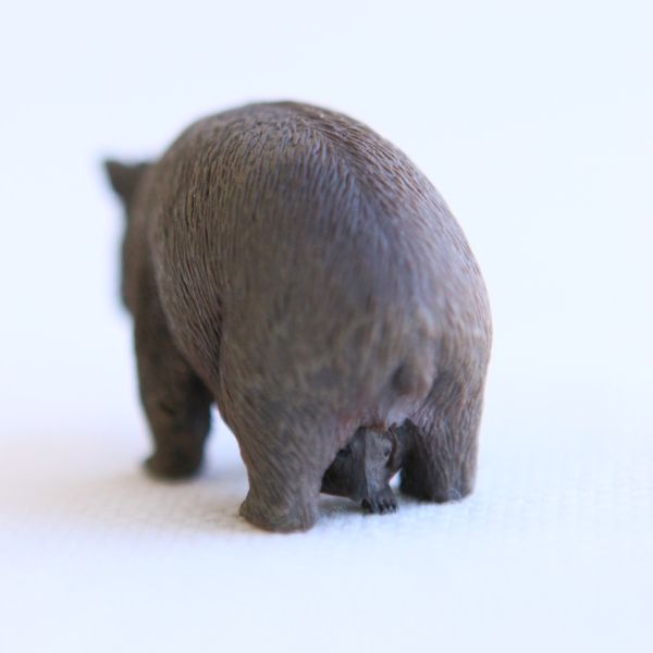 Figurine wombat avec bébé CollectA 88756 - Australie