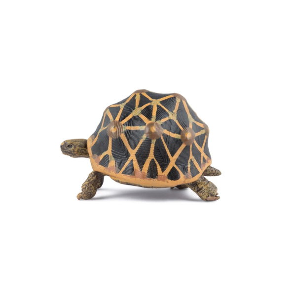 Figurine tortue étoilée Papo 50333 - Tortue d'Inde
