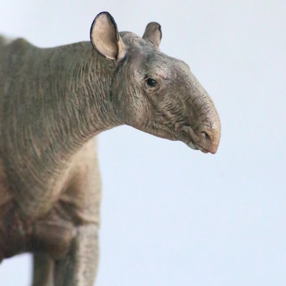 Figurine Paraceratherium Eofauna 1:35 - Rhinocéros géant