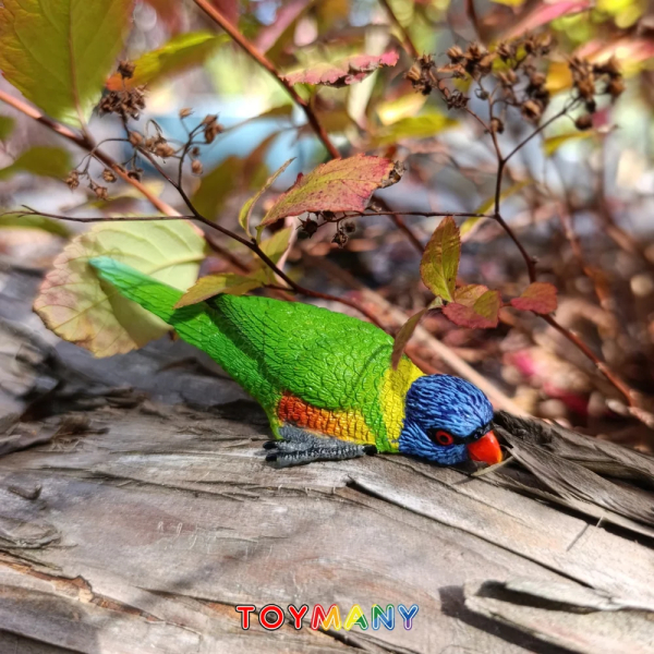 Figurine loriquet arc-en-ciel, perroquet d'Australie couché