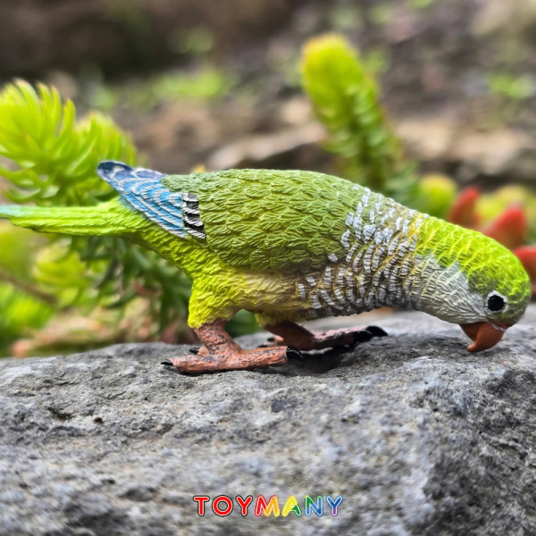 Figurine conure veuve (perruche moine) tête baissée ToyMany