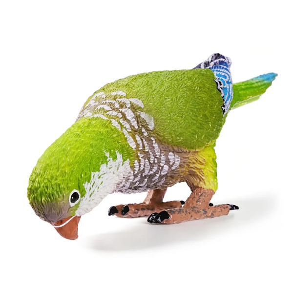Figurine conure veuve (perruche moine) tête baissée ToyMany