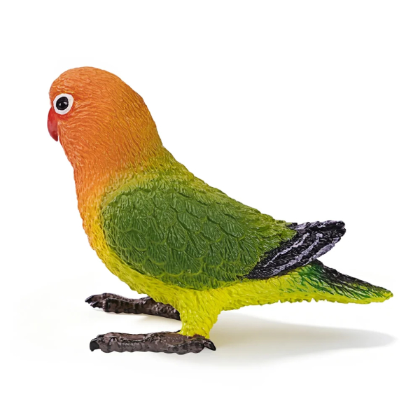 Figurine inséparable de Fischer, petit perroquet d'Afrique ToyMany