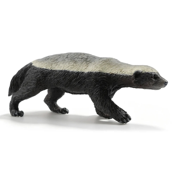 Figurine ratel ToyMany | Blaireau à miel réaliste, 8,9 cm
