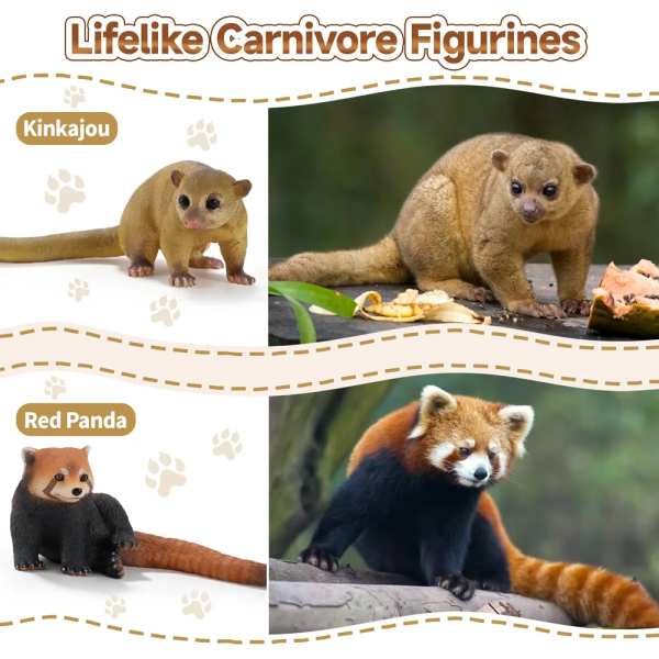 Coffret 12 figurines carnivores ToyMany | Panda roux, lycaon