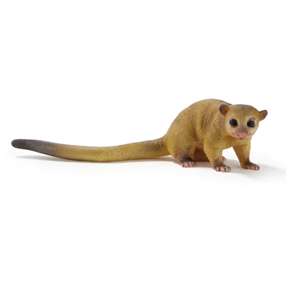 Coffret 12 figurines carnivores ToyMany | Panda roux, lycaon