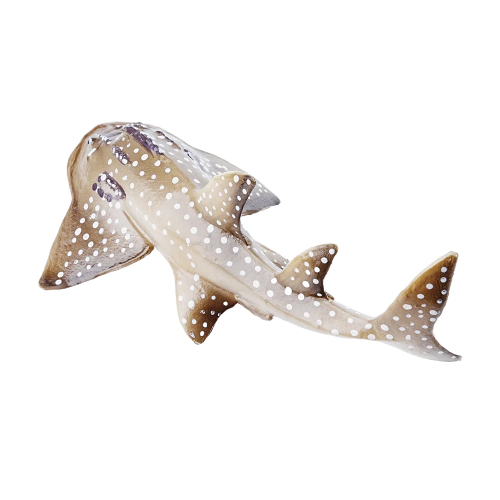 Petite figurine raie-guitare ToyMany | Requin-raie, 9,9 cm 2