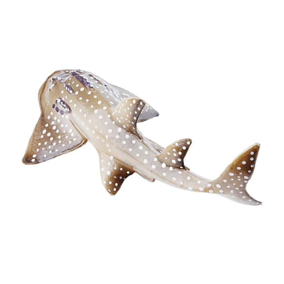 Petite figurine raie-guitare ToyMany | Requin-raie, 9,9 cm