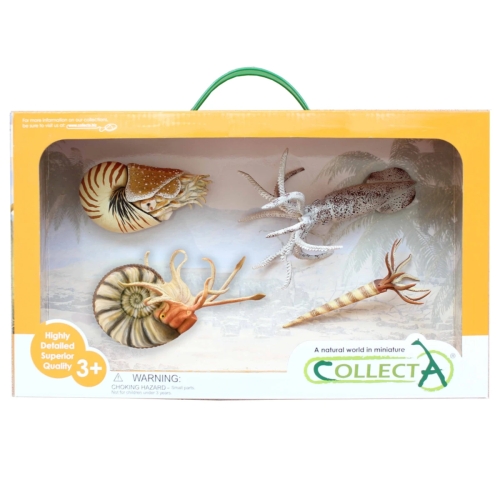 Coffret ammonite et nautile CollectA 84172 : 4 figurines