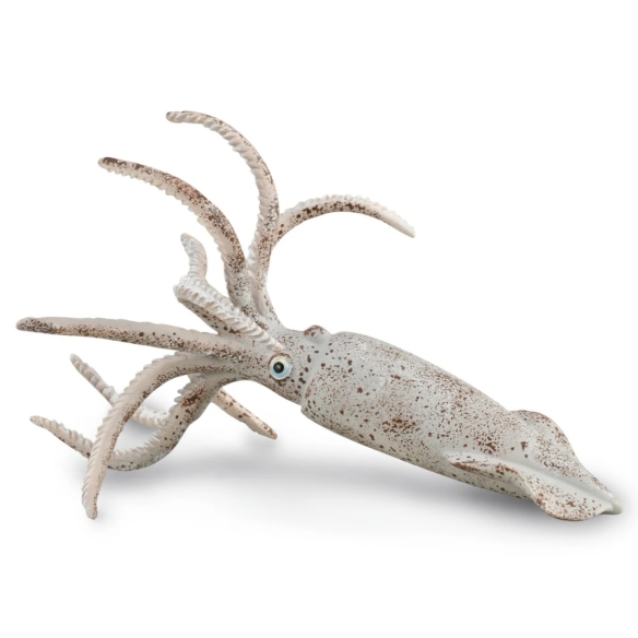Coffret ammonite et nautile CollectA 84172 : 4 figurines
