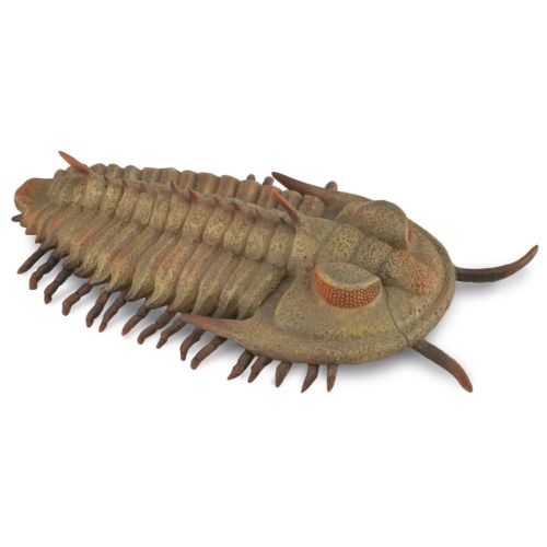 Coffret trilobite et limule CollectA 84173 : 4 figurines 2