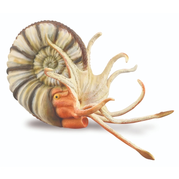 Coffret trilobite et limule CollectA 84173 : 4 figurines