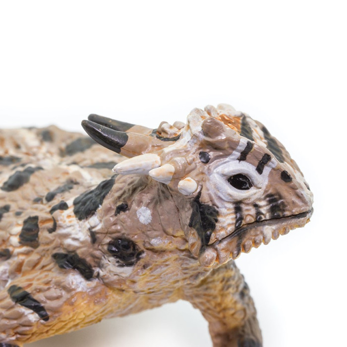 Figurine Lézards à cornes - Safari Ltd® 156605 | Matériel pédagogique | Enrichissement Montessori