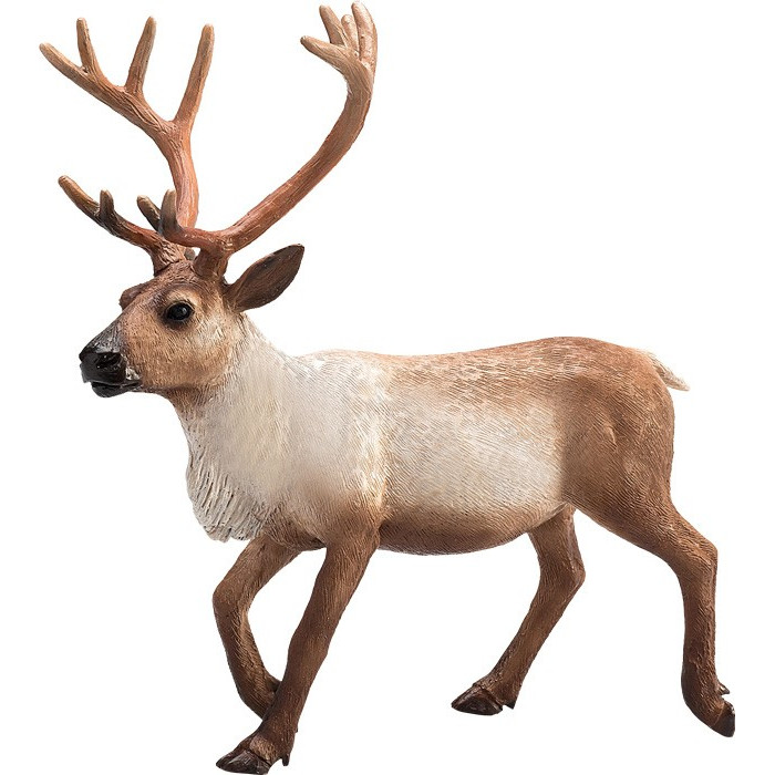 Figurine Renne - Mojo 387186 - Jouet Éducatif et Réaliste