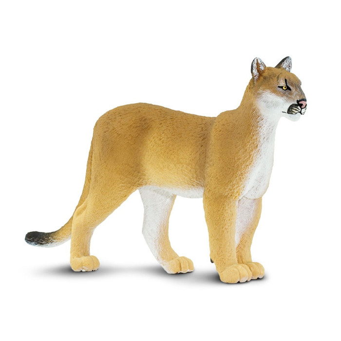 Figurine Panthère de Floride (Puma concolor coryi) – Safari Ltd® XL 23 cm