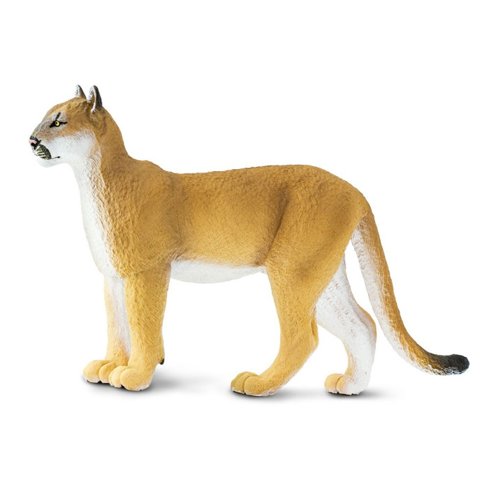 Figurine Panthère de Floride (Puma concolor coryi) – Safari Ltd® XL 23 cm