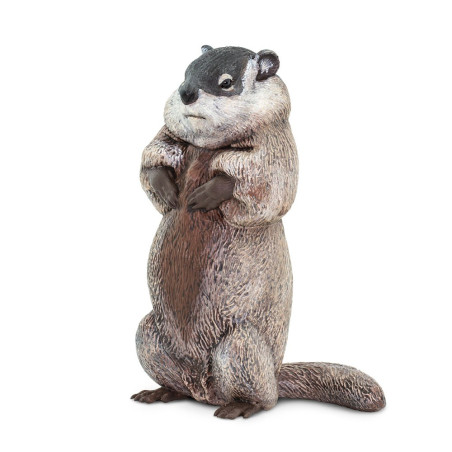 Figurine Marmotte - Safari Ltd® 100118 | Jouet réaliste | Matériel pédagogiqueAnimaux Montessori