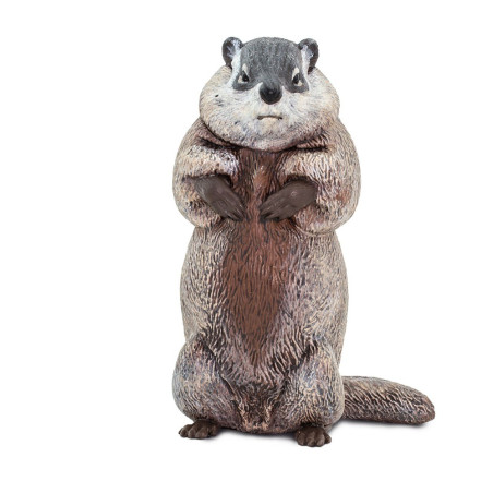 Figurine Marmotte - Safari Ltd® 100118 | Jouet réaliste | Matériel pédagogiqueAnimaux Montessori