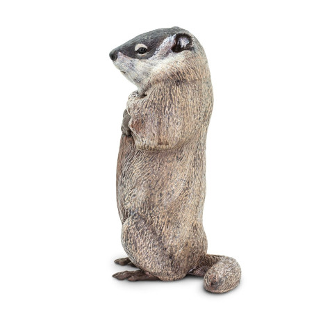Figurine Marmotte - Safari Ltd® 100118 | Jouet réaliste | Matériel pédagogiqueAnimaux Montessori