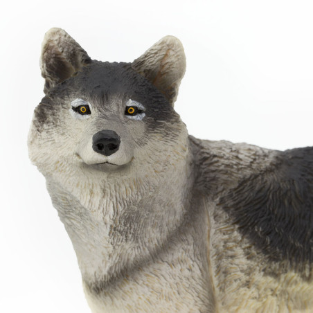 Figurine Loup - Safari Ltd® 112689 | Jouet réaliste | Matériel pédagogiqueAnimaux Montessori