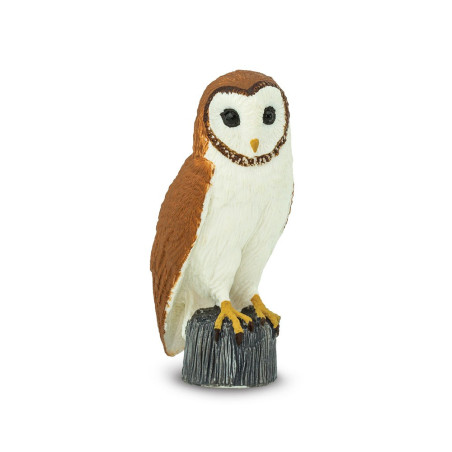 Figurine Effraie des Clochers (Tyto alba) – Rapaces Nocturnes | Safari Ltd®