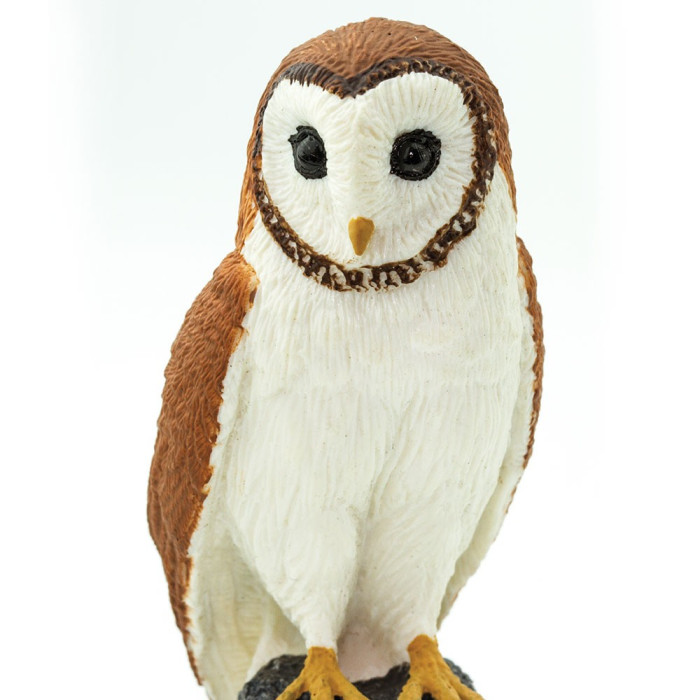 Figurine Effraie des Clochers (Tyto alba) – Rapaces Nocturnes | Safari Ltd®