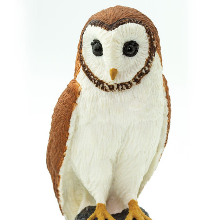 Figurine Effraie des Clochers (Tyto alba) – Rapaces Nocturnes | Safari Ltd®