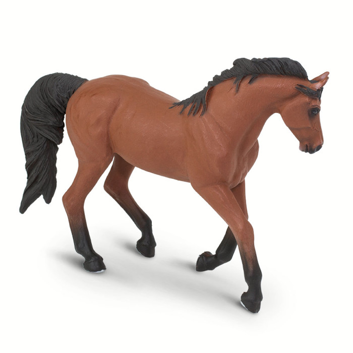 Figurine Jument de Morgan – Cheval - Safari Ltd® 158605 | Jouet réaliste | Matériel pédagogiqueAnimaux Montessori