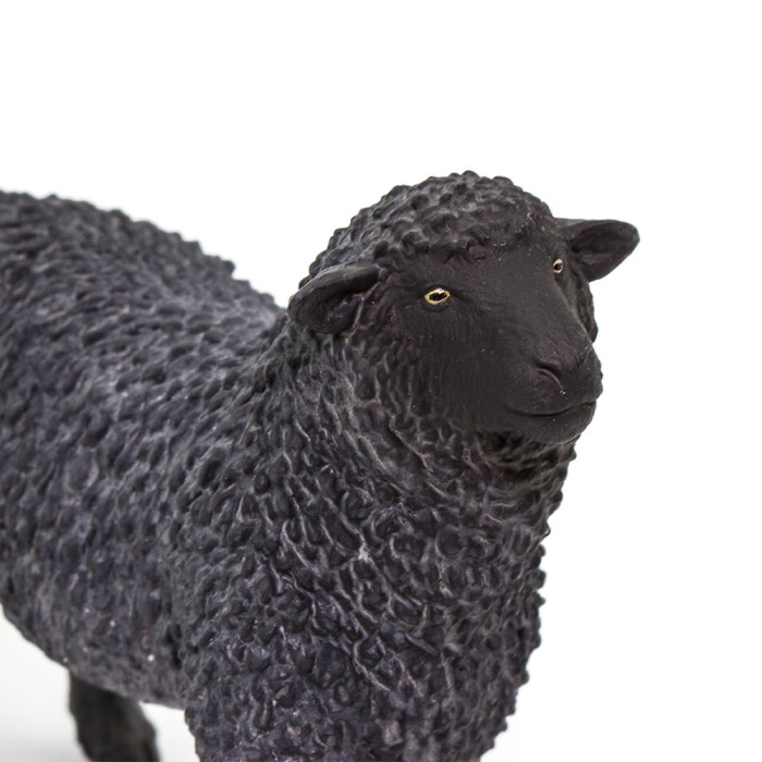 Figurine Mouton noir - Safari Ltd® 162229 | Jouet réaliste | Matériel pédagogiqueAnimaux Montessori