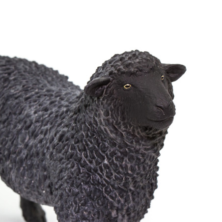 Figurine Mouton noir - Safari Ltd® 162229 | Jouet réaliste | Matériel pédagogiqueAnimaux Montessori