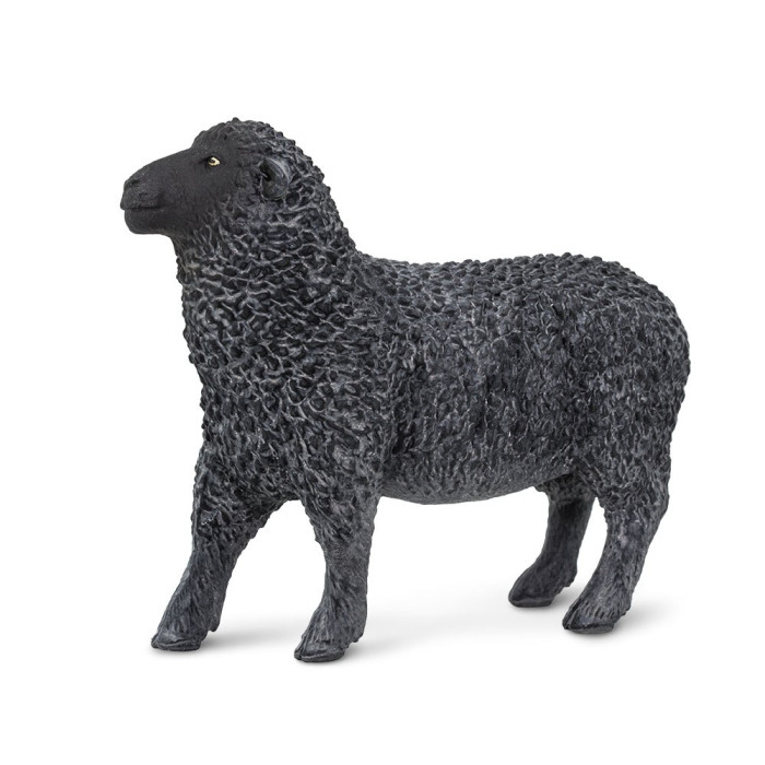 Figurine Mouton noir - Safari Ltd® 162229 | Jouet réaliste | Matériel pédagogiqueAnimaux Montessori