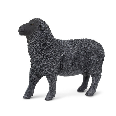 Figurine Mouton noir - Safari Ltd® 162229 | Jouet réaliste | Matériel pédagogiqueAnimaux Montessori