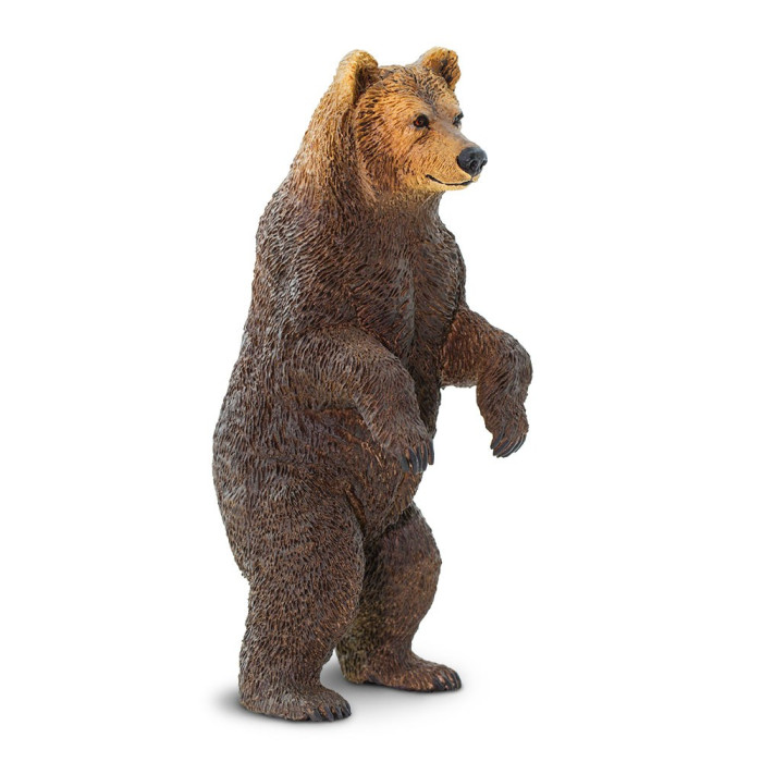 Figurine Grizzli - Safari Ltd® 181729 | Jouet réaliste | Matériel pédagogiqueAnimaux Montessori
