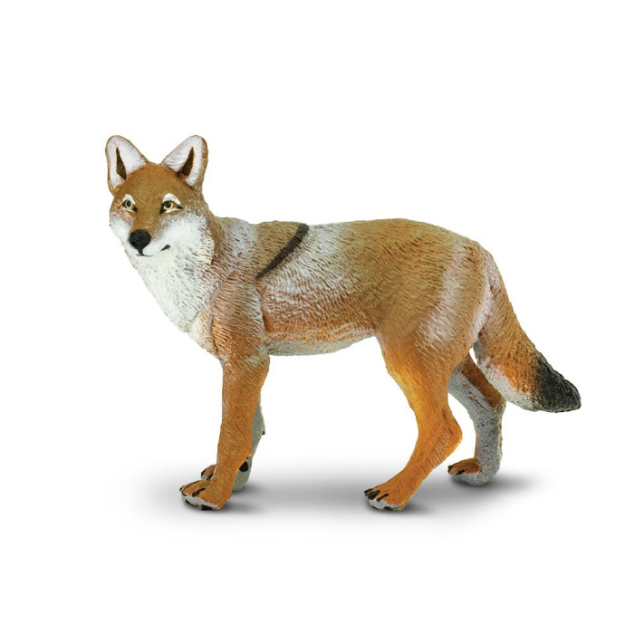 Figurine Coyote - Safari Ltd® 227229 | Jouet réaliste | Matériel pédagogiqueAnimaux Montessori