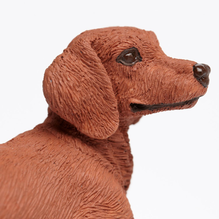 Figurine Chien Teckel - Safari Ltd® 251529 | Jouet réaliste | Matériel pédagogiqueAnimaux Montessori