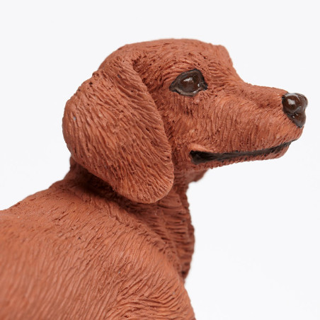 Figurine Chien Teckel - Safari Ltd® 251529 | Jouet réaliste | Matériel pédagogiqueAnimaux Montessori