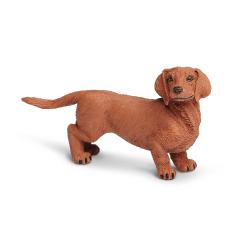 Figurine Chien Teckel - Safari Ltd® 251529 | Jouet réaliste | Matériel pédagogiqueAnimaux Montessori