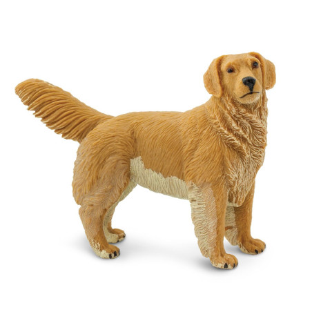 Figurine Chien Golden Retriever - Safari Ltd® 253129 | Jouet réaliste | Matériel pédagogiqueAnimaux Montessori