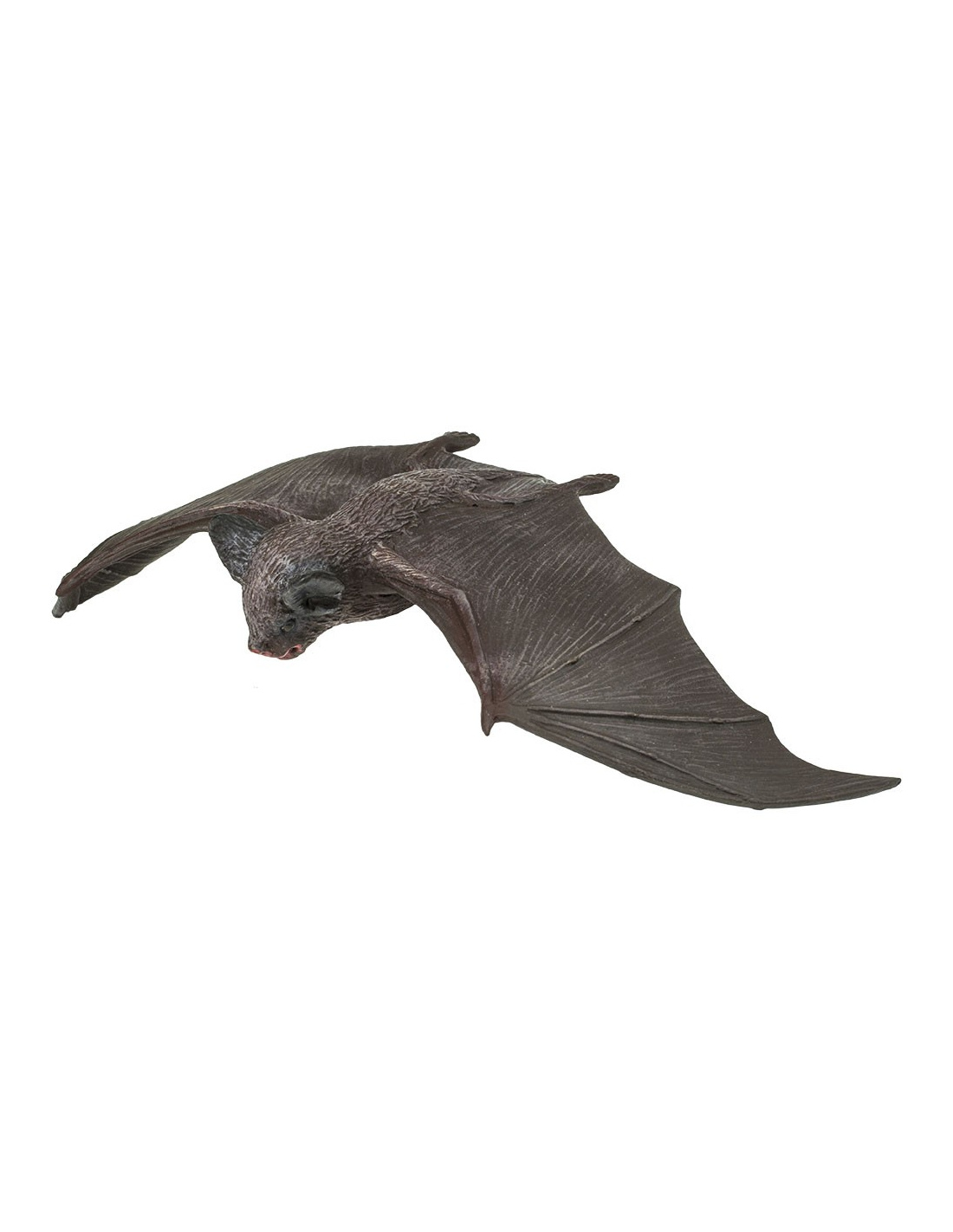Spécimen De Chauve-Souris En Résine - Véritable Taxidermie Encadrée Réaliste Pour Collection Éducative Ou Décoration Gothique