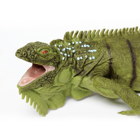 Figurine Iguane - Safari Ltd® 267729 | Jouet réaliste | Matériel pédagogiqueAnimaux Montessori