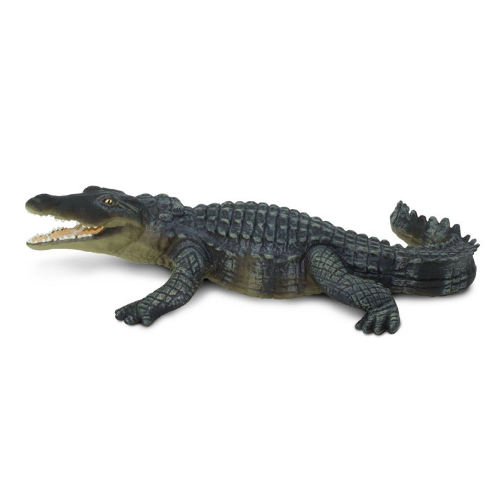 Figurines Poissons Réalistes - Cabilock - Jouet éducatif Marin Pour Enfants - Collection Animaux Mer
