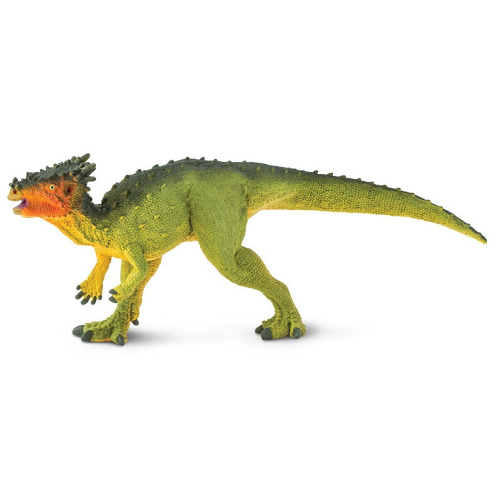 Figurine Dracorex – Préhistoire et dinosaure - Safari Ltd® 303129 | Jouet réaliste | Matériel pédagogiqueAnimaux Monte