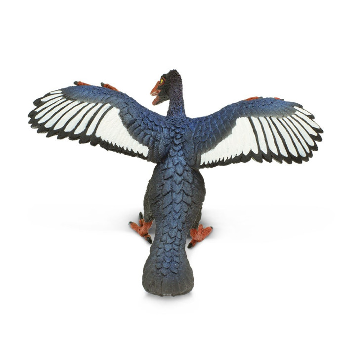 Archaeopteryx Safari Ltd 302829 | Figurine Dinosaure-Oiseau | Collection Préhistoire