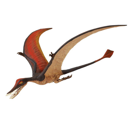 Figurine Rhamphorhynchus – Préhistoire et dinosaure - Safari Ltd® 300329 | Jouet réaliste | Matériel pédagogiqueAnimau