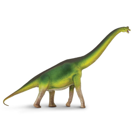 Figurine Brachiosaures – Préhistoire et dinosaure - Safari Ltd® 300229 | Jouet réaliste | Matériel pédagogiqueAnimaux