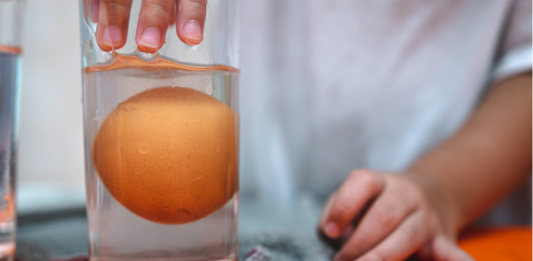 oeuf activite scientifique densité