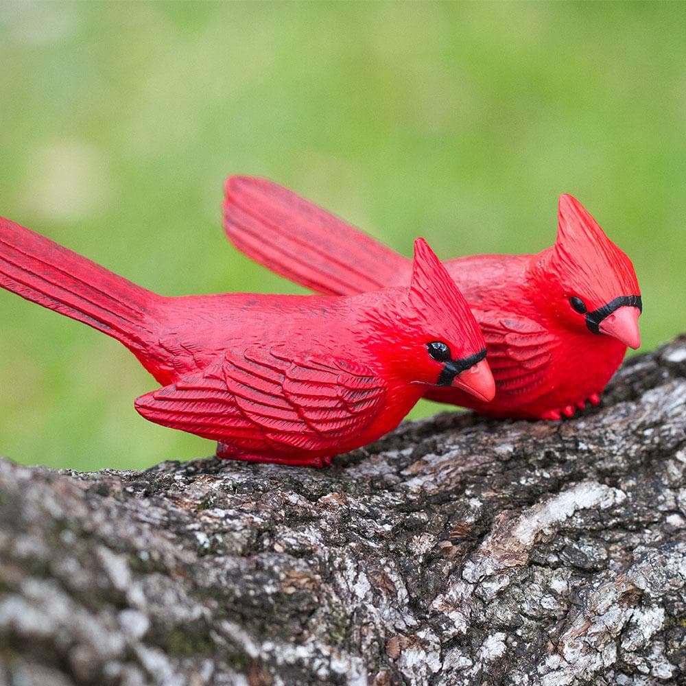 Figurine oiseau cardinal du jardin animal du printemps réaliste à collectionner