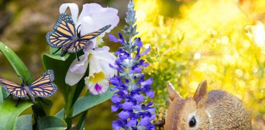 figurines réalistes CollectA Safari à collectionner Lapin papillons